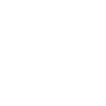 salewa logo